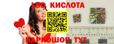 индика Гусев