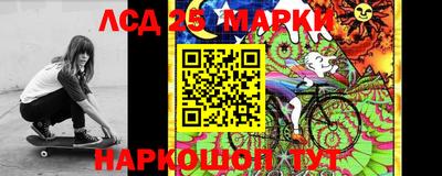 индика Гусев