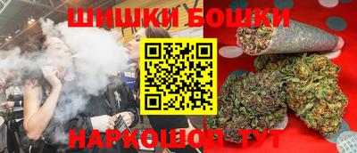 индика Гусев