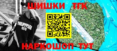 индика Гусев