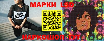 шишки Заводоуковск