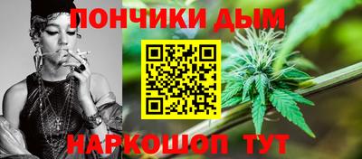 индика Гусев