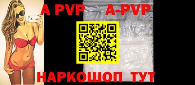 индика Гусев