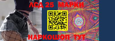 индика Гусев