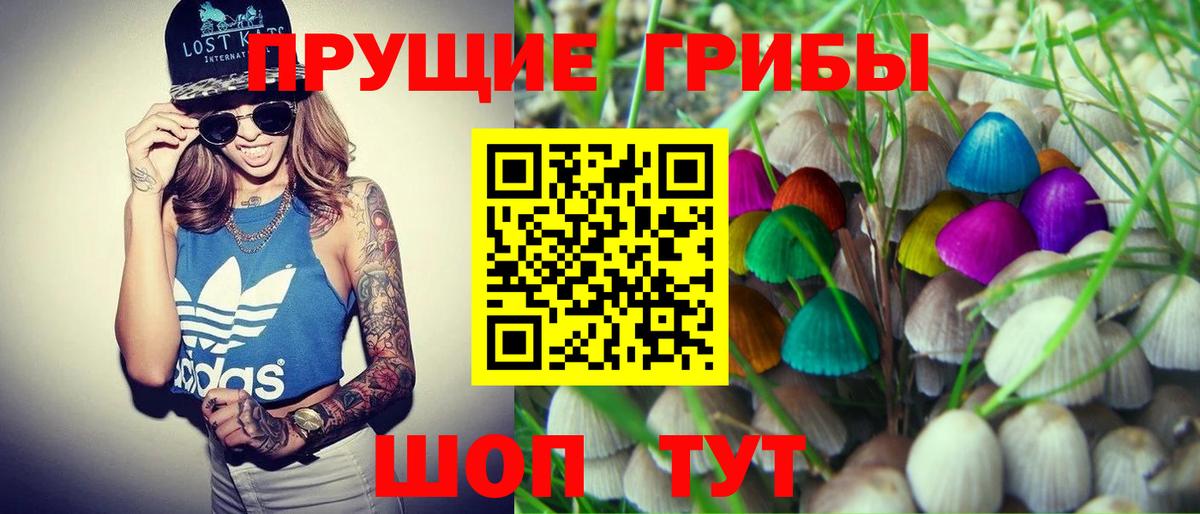 Озёры  где продают   Вход с VPN  Галлюциногенные грибы MAGIC MUSHROOMS 